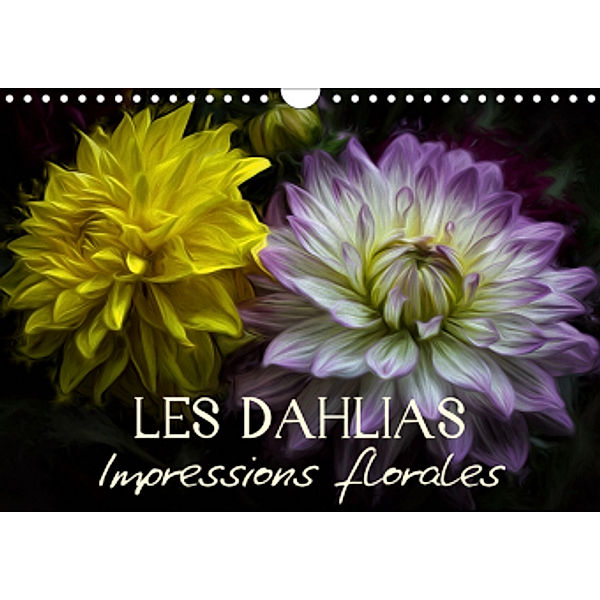 Les Dahlias Impressions florales (Calendrier mural 2021 DIN A4 horizontal), Vronja Photon