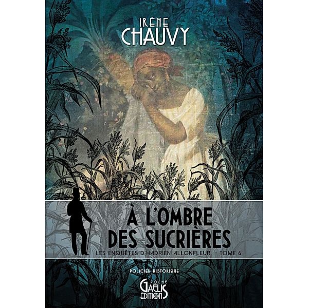 Les Enquêtes d'Hadrien Allonfleur sous le Second Empire - Tome 6, Irène Chauvy