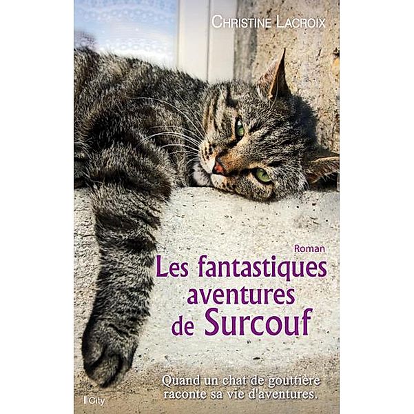 Les fantastiques aventures de Surcouf, Christine Lacroix