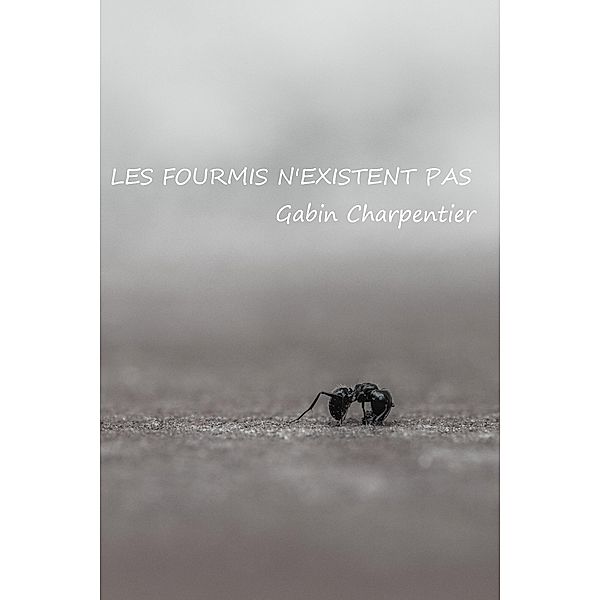 Les fourmis  n'existent pas / Librinova, Charpentier Gabin Charpentier