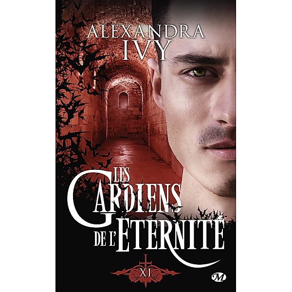 Les Gardiens de l'éternité, T17 : Xi / Les Gardiens de l'éternité Bd.17, Alexandra Ivy