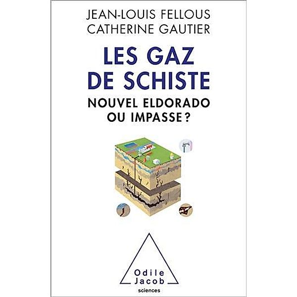 Les Gaz de schiste, Fellous Jean-Louis Fellous