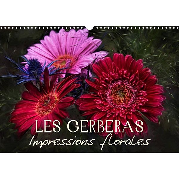 Les Gerberas Impressions florales (Calendrier mural 2023 DIN A3 horizontal), Vronja Photon