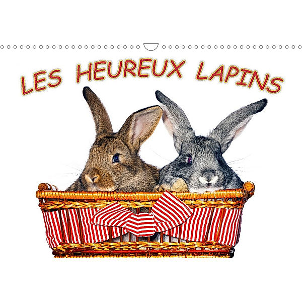 Les heureux lapins (Calendrier mural 2023 DIN A3 horizontal), Keceli Jeno, www.eugenfoto.eu, www.eugen.photography