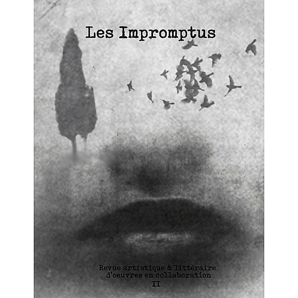 Les Impromptus, tome II, Collectif Olivia Hb