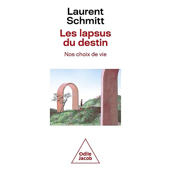 Les Lapsus du destin, nos choix de vie, Schmitt Laurent Schmitt