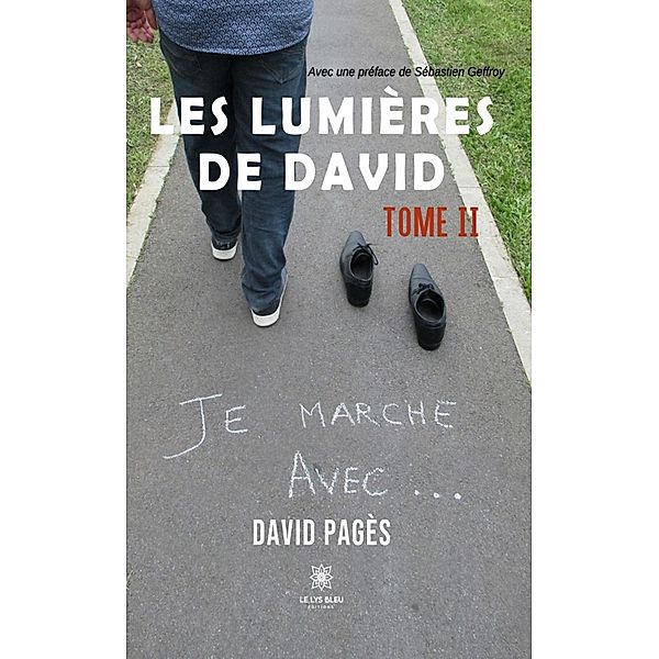 Les lumières de David - Tome 2, David Pagès