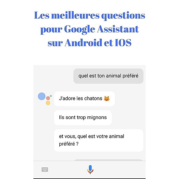 Les meilleures questions pour google assistant sur android et IOS, Rodolphe Calvo