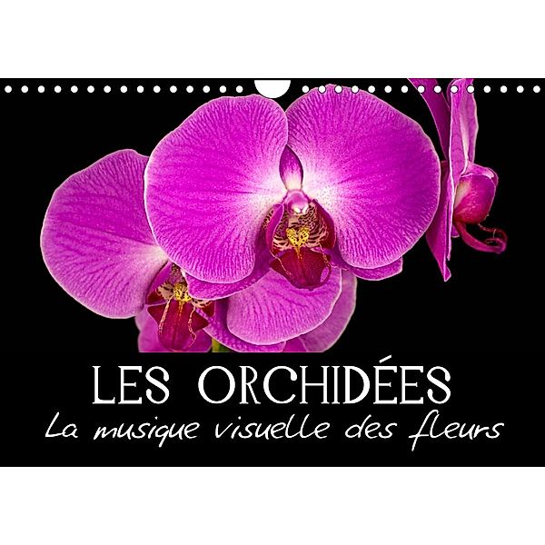 Les Orchidées - La musique visuelle des fleurs (Calendrier mural 2023 DIN A4 horizontal), Veronika Verenin (Vronja Photon)