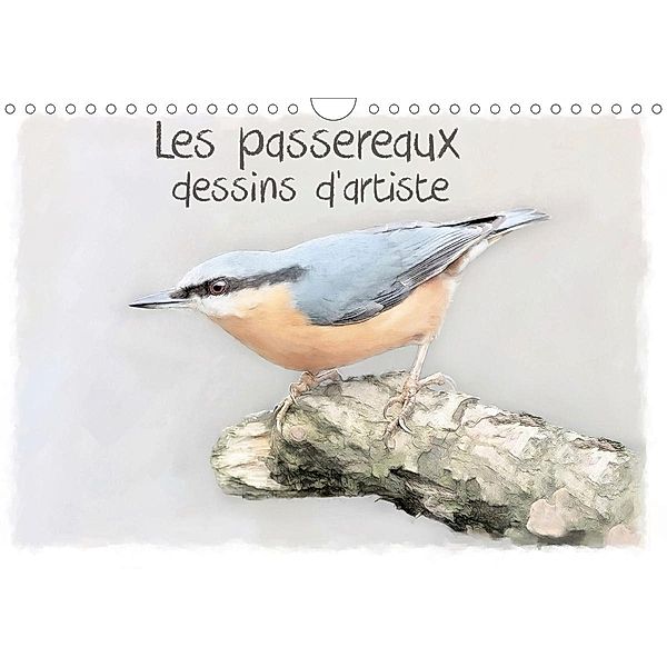 Les passereaux dessins d'artiste (Calendrier mural 2021 DIN A4 horizontal)