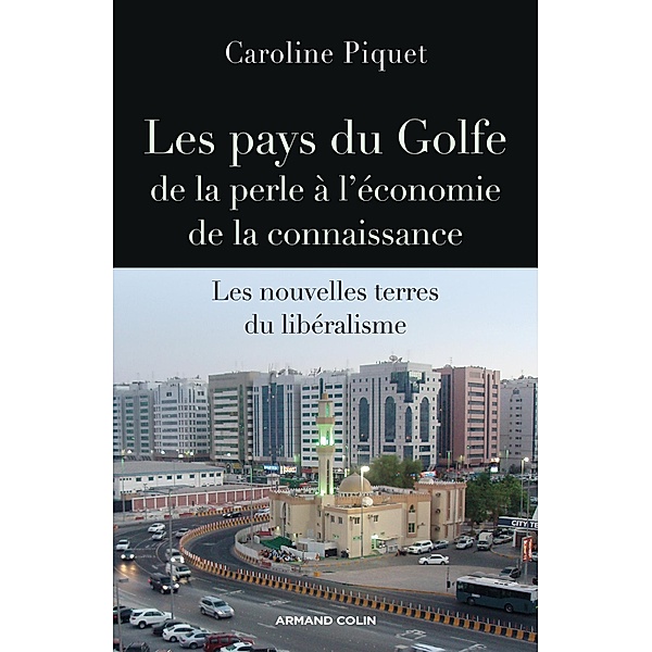 Les pays du Golfe de la perle à l'économie de la connaissance / Comprendre le monde, Caroline Piquet