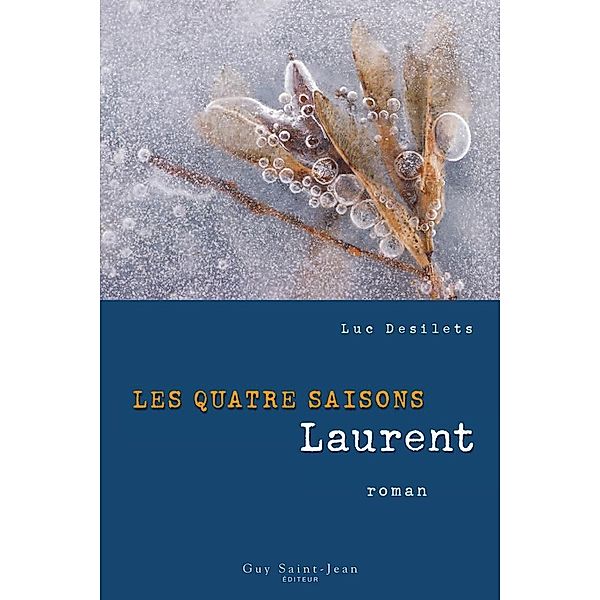 Les quatre saisons, tome 2 / Guy Saint-Jean Editeur, Desilets Luc Desilets