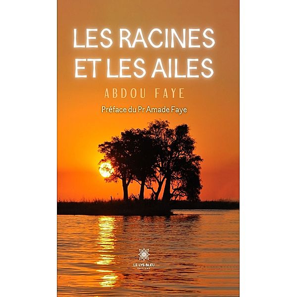 Les racines et les ailes, Abdou Faye