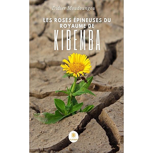 Les roses épineuses du royaume de Kibemba, Didier Moudoungou