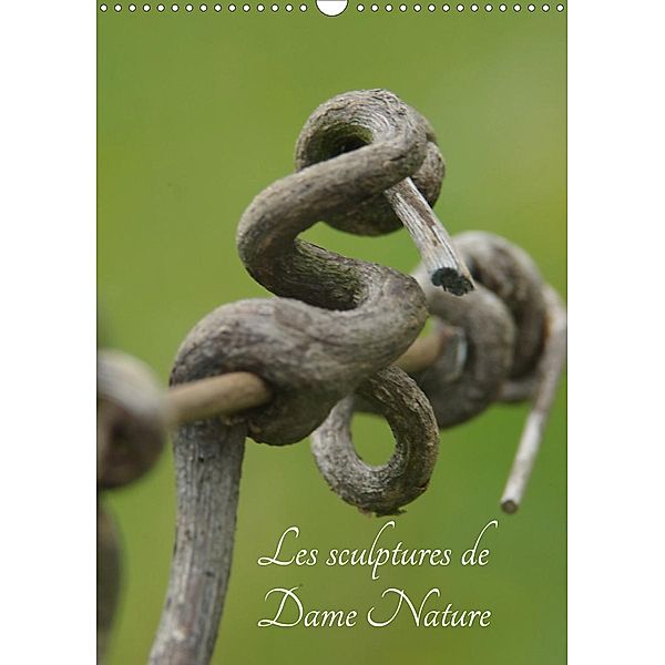 Les sculptures de Dame nature (Calendrier mural 2021 DIN A3 vertical), David Yaffee