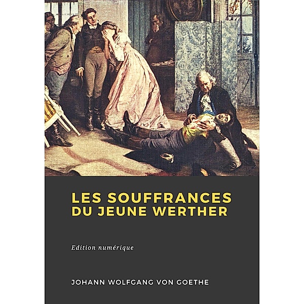 Les Souffrances du jeune Werther, Johann von Goethe