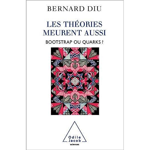 Les théories meurent aussi, Diu Bernard Diu