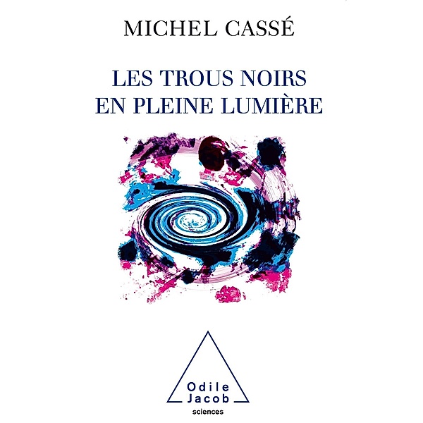 Les Trous noirs en pleine lumiere, Casse Michel Casse