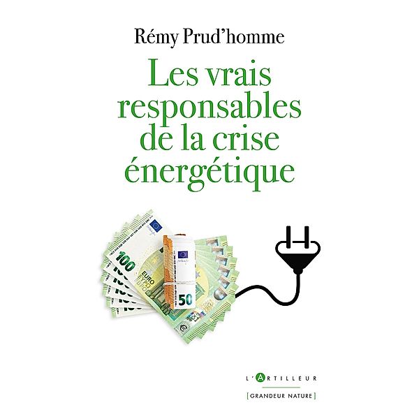 Les vrais responsables de la crise énergétique, Rémy Prud'homme