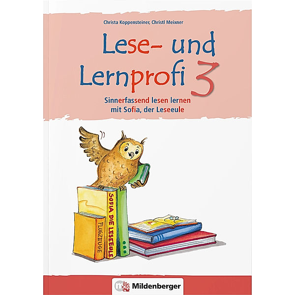 Lese- und Lernprofi 3 - Arbeitsheft - silbierte Ausgabe, Christa Koppensteiner, Christl Meixner