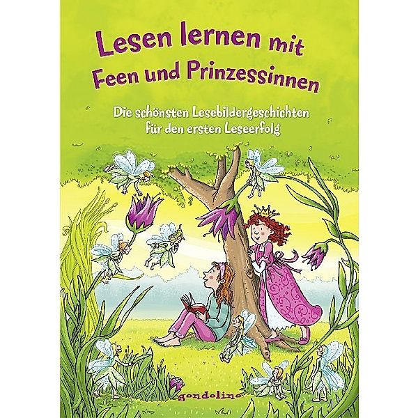 Lesen lernen mit Feen und Prinzessinnen, Bato, Werner Färber, Christine Raudies, Katja Reider