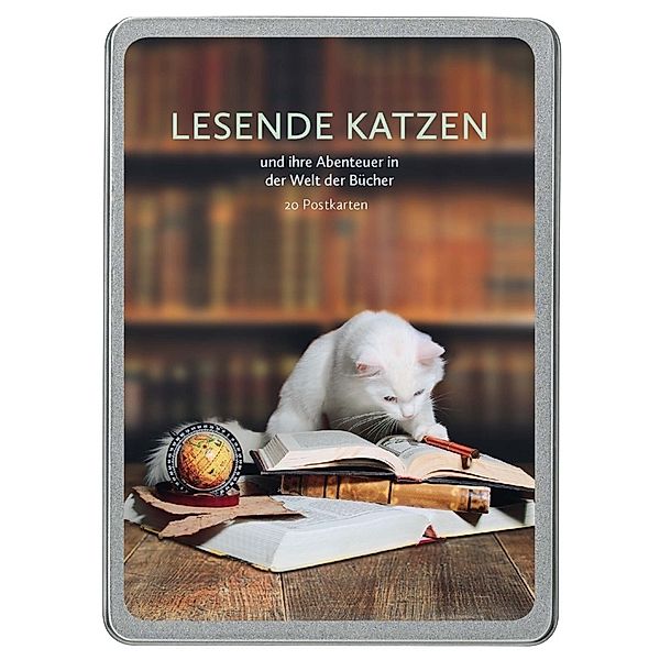 Lesende Katzen