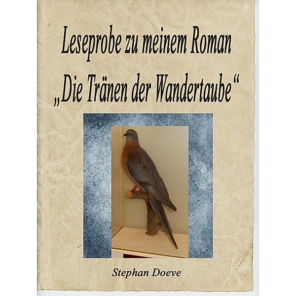 Leseprobe zu meinem Roman Die Tränen der Wandertaube, Stephan Doeve