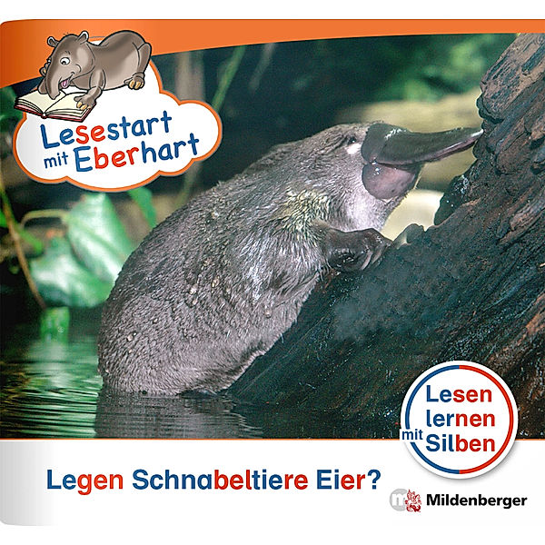 Lesestart mit Eberhart: Legen Schnabeltiere Eier?, Stefanie Drecktrah, Nicole Brandau