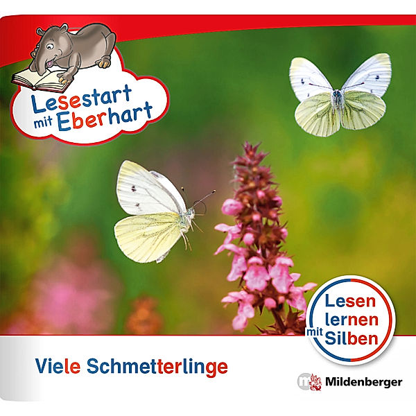 Lesestart mit Eberhart: Viele Schmetterlinge, Stefanie Drecktrah, Nicole Brandau