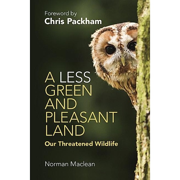 Less Green and Pleasant Land, Norman MacLean