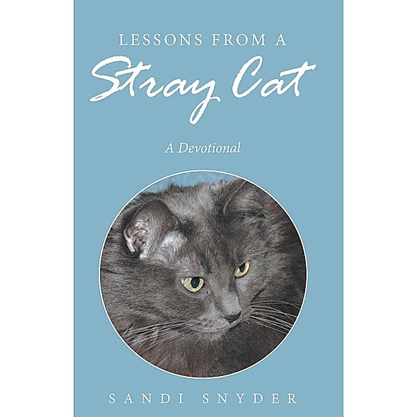 Lessons from a Stray Cat, Sandi Snyder