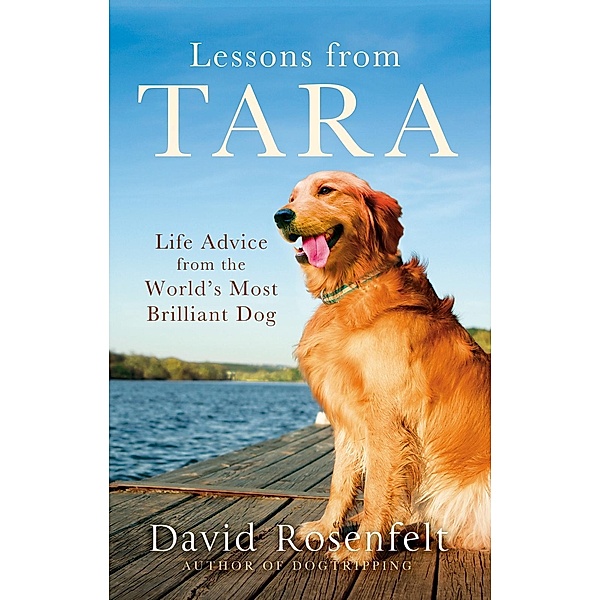 Lessons from Tara, David Rosenfelt