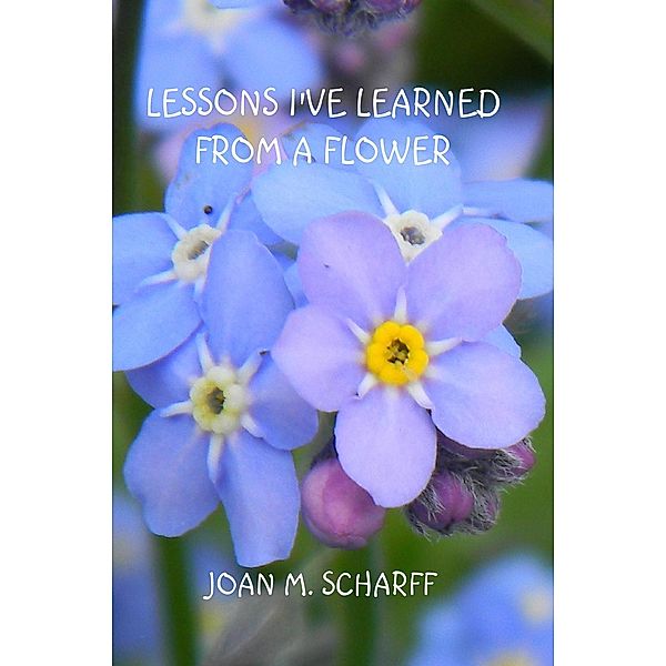Lessons I've Learned From A Flower / Running Quail Press, Inc., Joan Scharff
