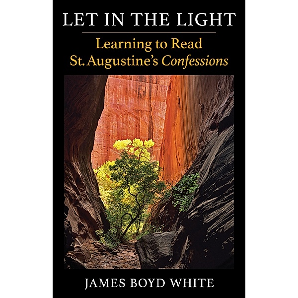 Let in the Light, James Boyd White