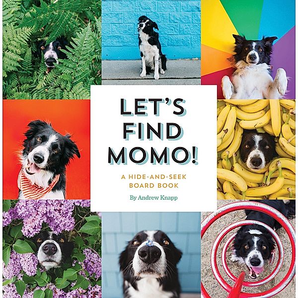 Let's Find Momo!, Andrew Knapp