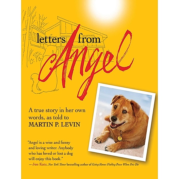 Letters from Angel, Martin P. Levin