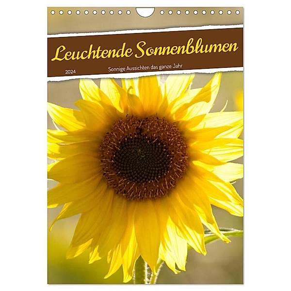 Leuchtende Sonnenblumen, sonnige Aussichten das ganze Jahr (Wandkalender 2024 DIN A4 hoch), CALVENDO Monatskalender, Sabine Löwer