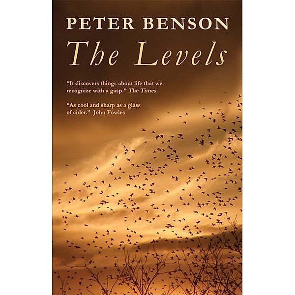 Levels, Peter Benson