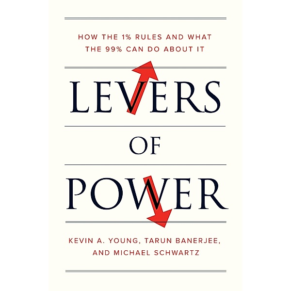 Levers of Power, Michael Schwartz, Tarun Banerjee, Kevin A. Young