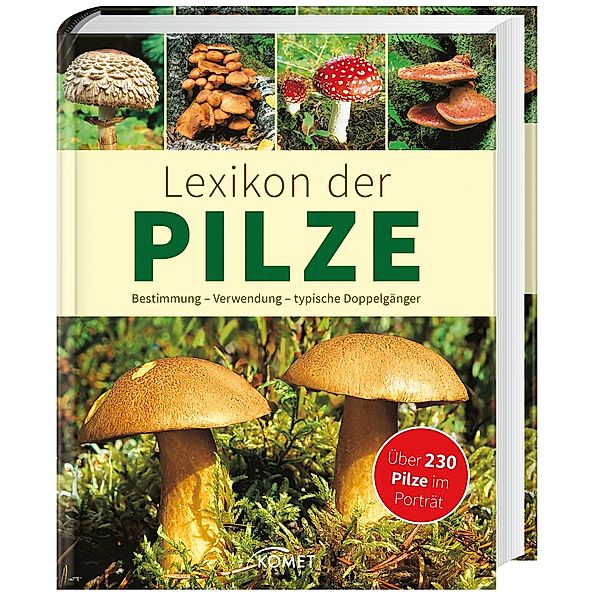 Lexikon der Pilze, Hans W. Kothe