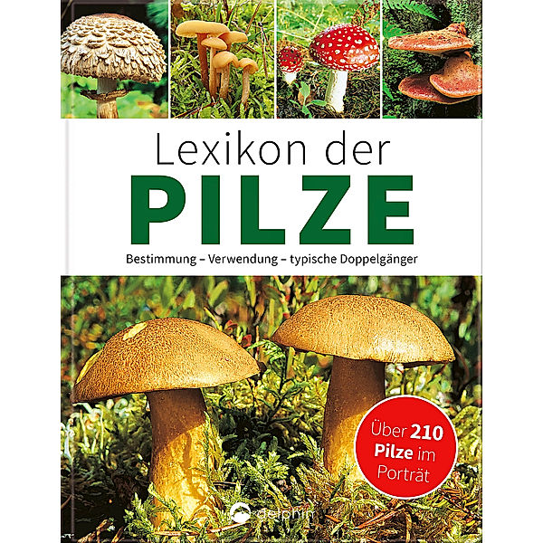 Lexikon der Pilze, Hans W. Kothe