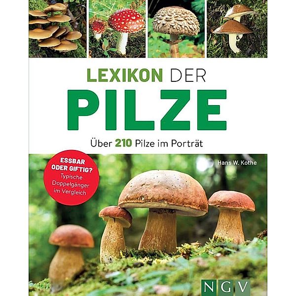 Lexikon der Pilze - Über 210 Pilze im Porträt, Hans W. Kothe
