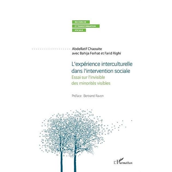 L'experience interculturelle dans l'intervention sociale