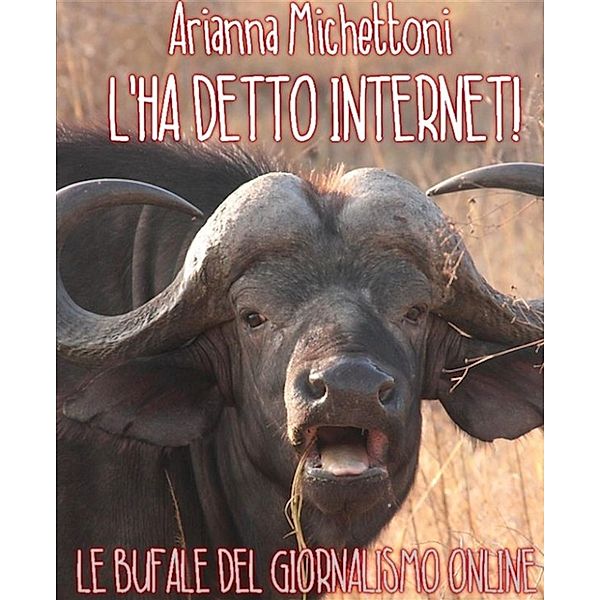 L'ha detto internet!, Arianna Michettoni