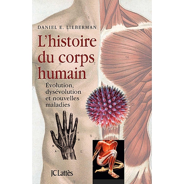 L'Histoire du corps humain / Essais et documents, Daniel Lieberman