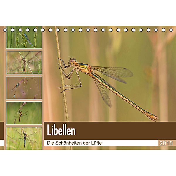 Libellen - Die Schönheiten der Lüfte (Tischkalender 2018 DIN A5 quer) Dieser erfolgreiche Kalender wurde dieses Jahr mit, Andrea Potratz
