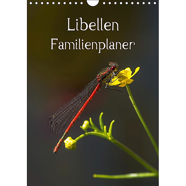 Libellen / Familienplaner (Wandkalender 2019 DIN A4 hoch), Andrea Potratz
