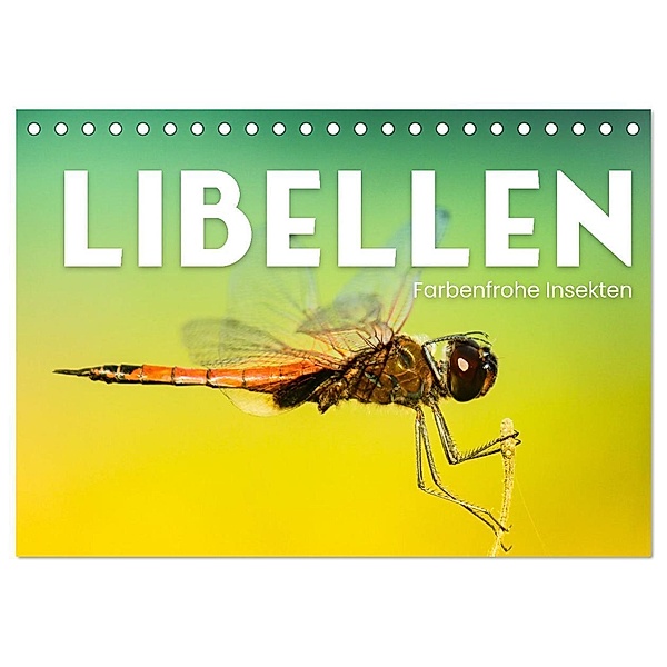 Libellen - Farbenfrohe Insekten (Tischkalender 2024 DIN A5 quer), CALVENDO Monatskalender, Happy Monkey