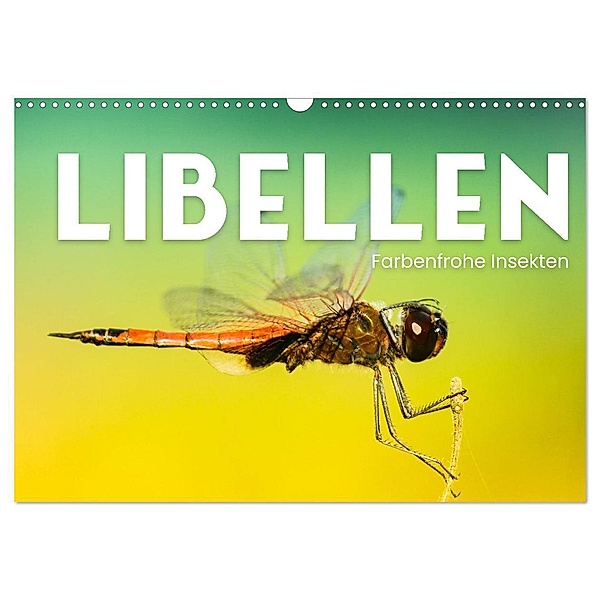 Libellen - Farbenfrohe Insekten (Wandkalender 2024 DIN A3 quer), CALVENDO Monatskalender, Happy Monkey
