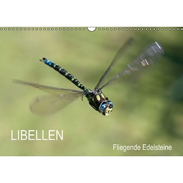Libellen - Fliegende Edelsteine / AT-Version (Wandkalender 2015 DIN A3 quer), Andreas Lippmann